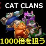 Cat Clansで1000倍配当を狙っていく！ in STAKE